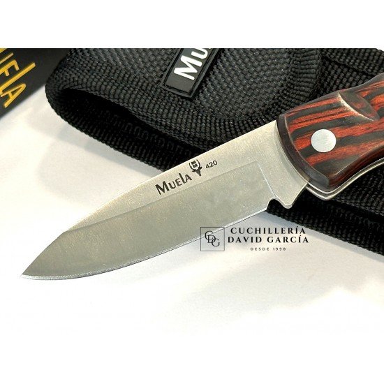 Muela K-7R Madera Coral