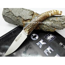 Cuernos - Ciervo - Sambar - Axis - Bufalo - Corzo - Toro - Suministros para  cuchillos